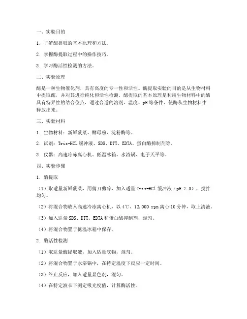酶提取实验报告
