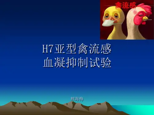 血凝和血凝抑制实验