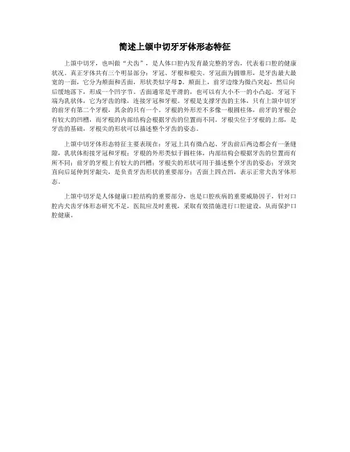 简述上颌中切牙牙体形态特征