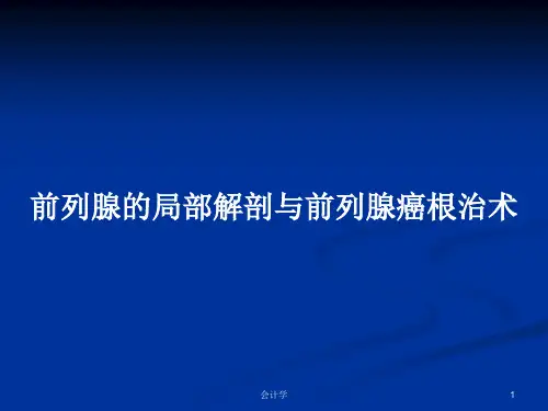 前列腺的局部解剖与前列腺癌根治术PPT学习教案