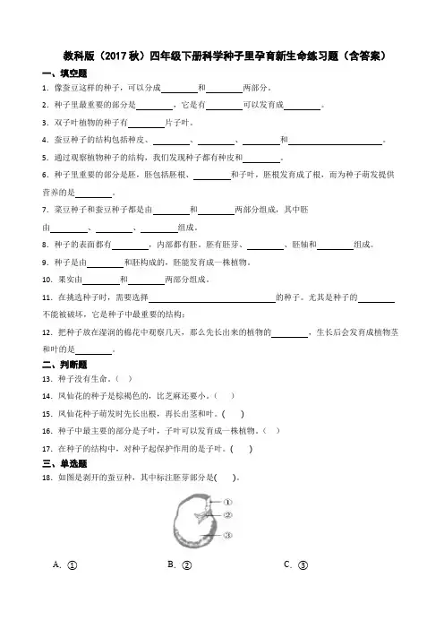 教科版(2017秋)四年级下册科学种子里孕育新生命练习题(含答案)