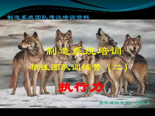 狼性精神--执行力培训4