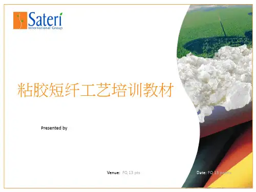 粘胶短纤工艺培训教材