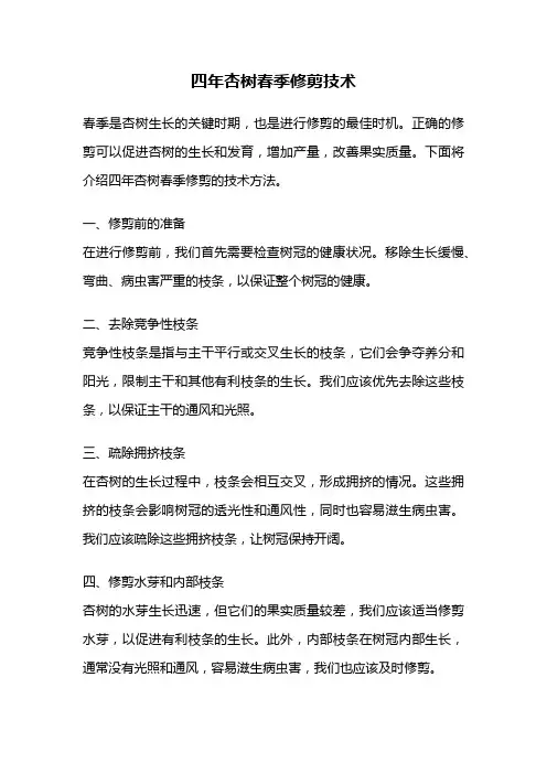 四年杏树春季修剪技术