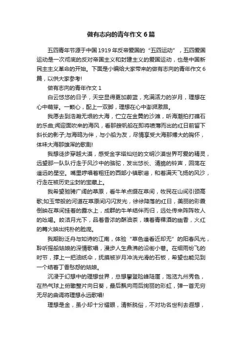 做有志向的青年作文6篇