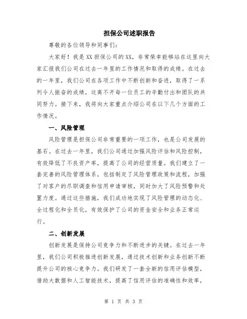 担保公司述职报告