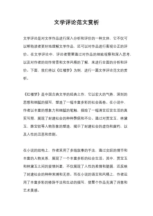 文学评论范文赏析