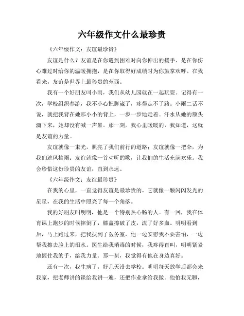 六年级作文什么最珍贵
