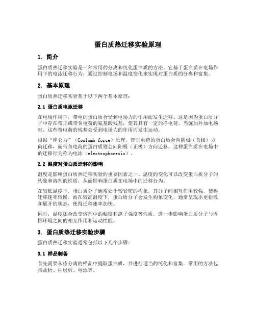 蛋白质热迁移实验原理