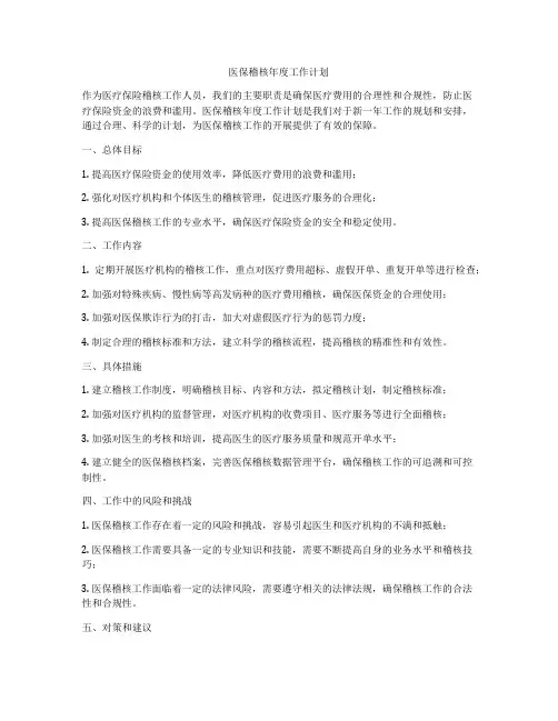 医保稽核年度工作计划