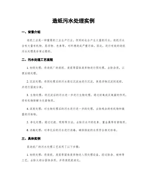 造纸污水处理实例