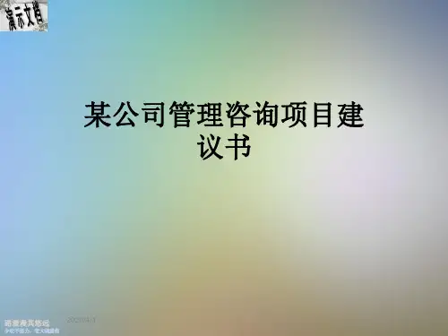 某公司管理咨询项目建议书