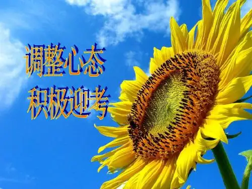 笑对高三每一天：调整心态,积极迎考ppt