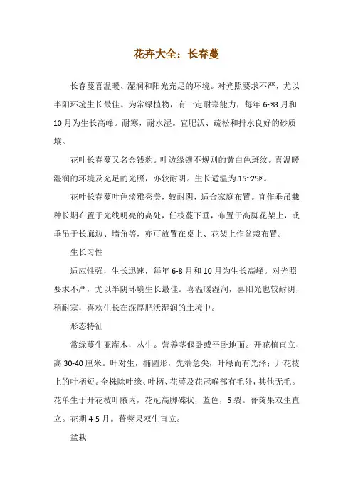 花卉大全：长春蔓