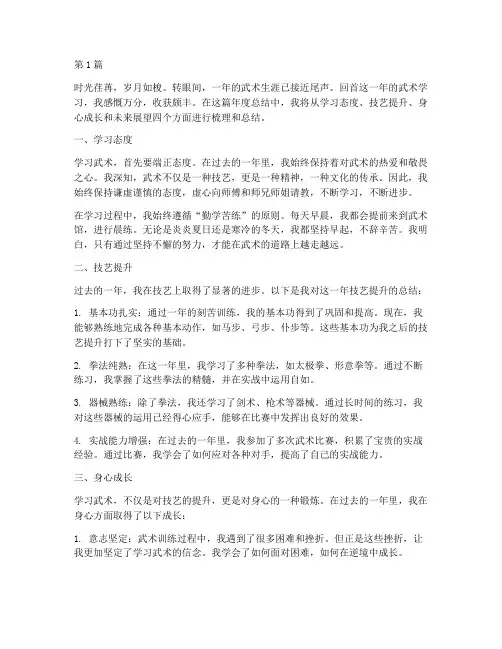 武术生年度总结作文(3篇)