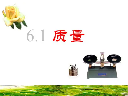 人教版八年级物理课件：6.1 质量 (共13张PPT)