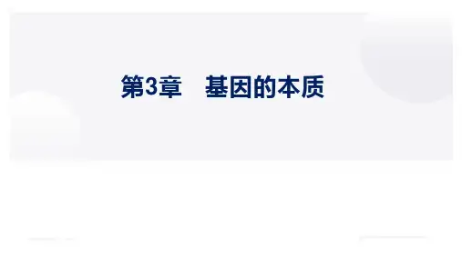 第3章 基因的本质(复习课件)-高一生物下学期期中期末考点大串讲(人教版2019必修2)