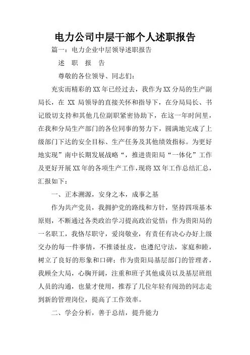 电力公司中层干部个人述职报告