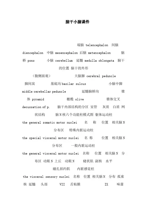 脑干小脑课件