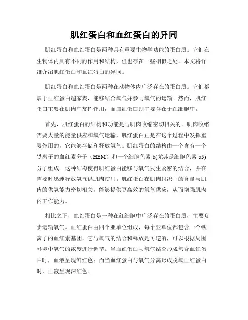 肌红蛋白和血红蛋白的异同