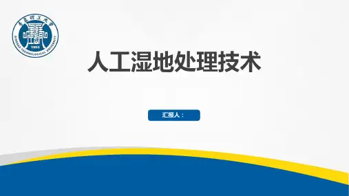 人工湿地处理技术