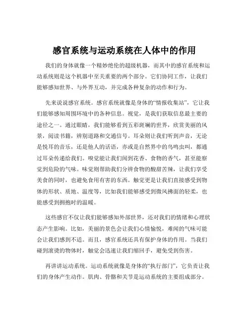 感官系统与运动系统在人体中的作用