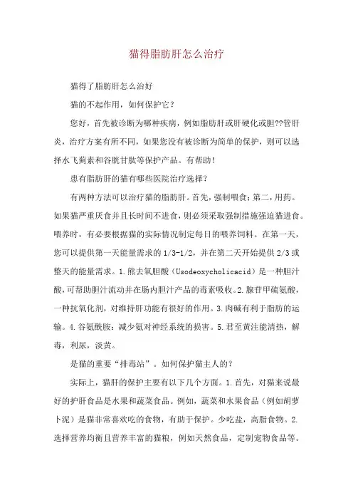 猫得脂肪肝怎么治疗