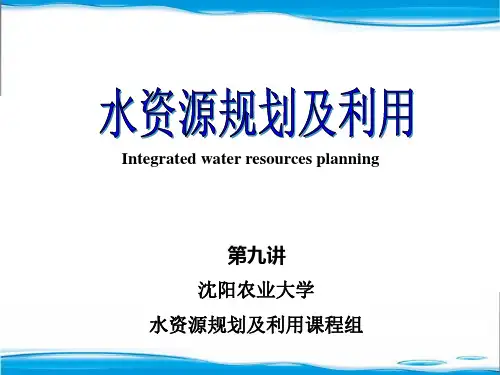 水资源规划及利用(9)