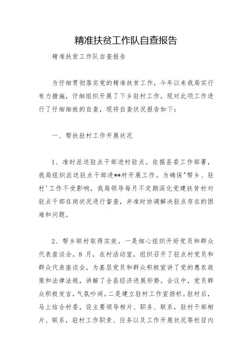 精准扶贫工作队自查报告