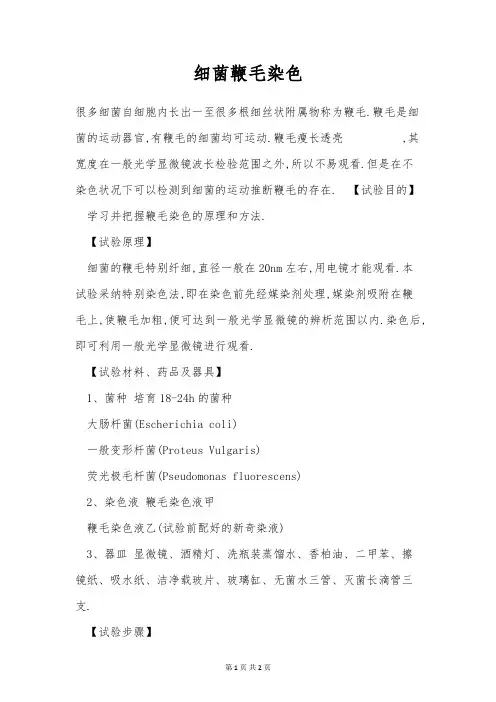 细菌鞭毛染色