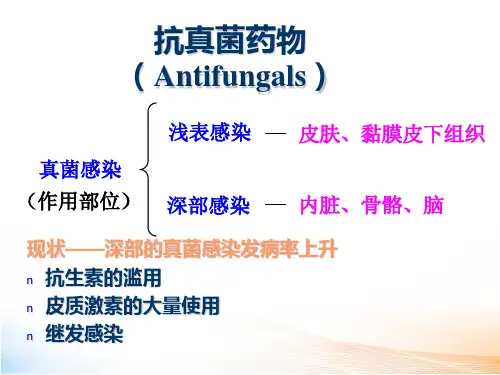 抗真菌药物教学课件
