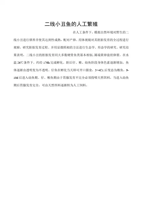 二线小丑鱼的人工繁殖
