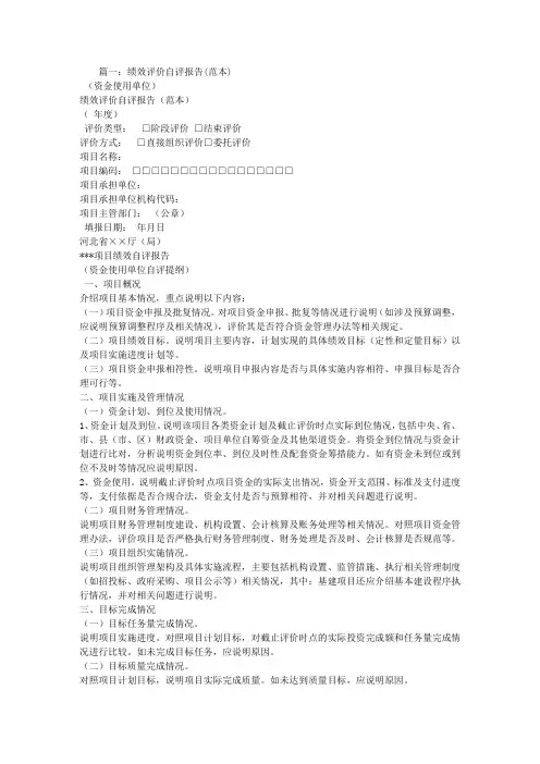 绩效评价自查报告