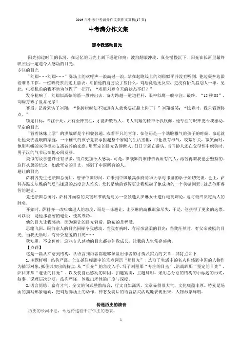 2019年中考中考满分作文集作文赏析(17页)