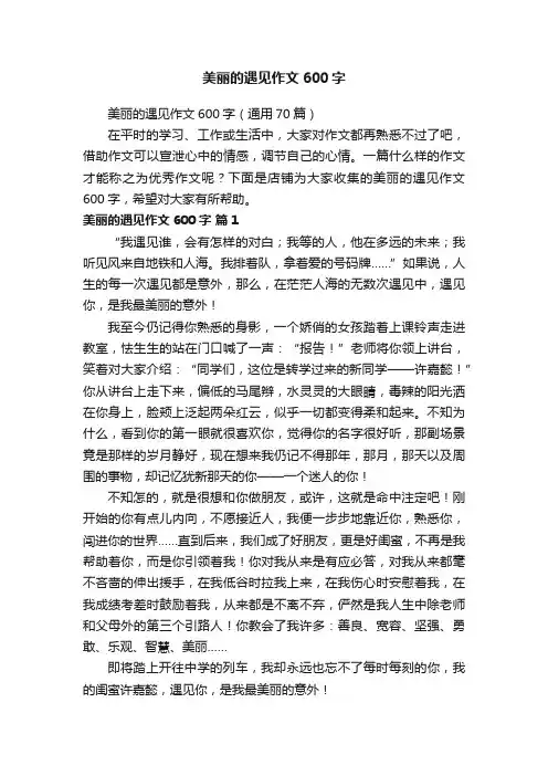 美丽的遇见作文600字