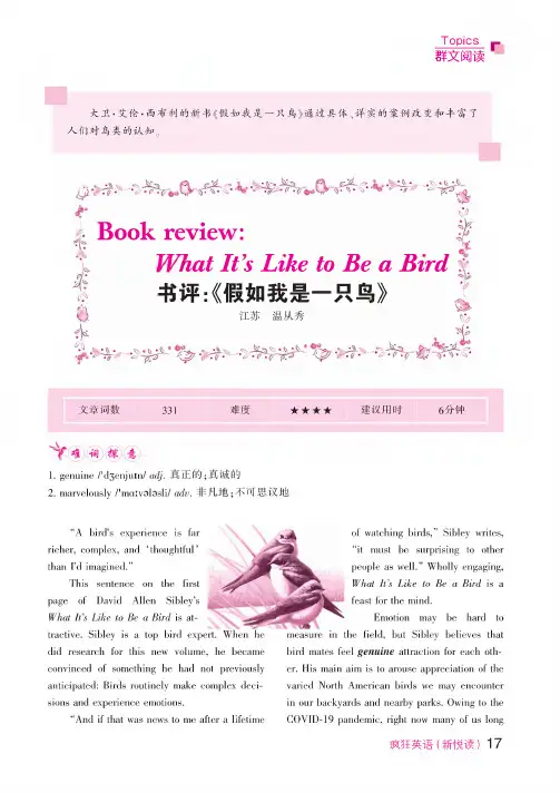 书评《假如我是一只鸟》