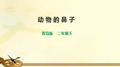 青岛版六三制二年级下册4-12《动物的鼻子》课件