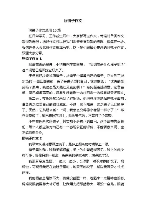 照镜子作文