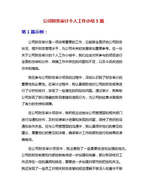 公司财务审计个人工作小结5篇