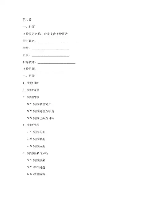 企业实践实验报告模板(3篇)
