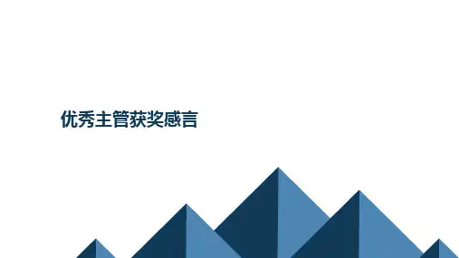 优秀主管获奖感言 (1)