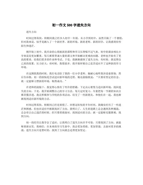 初一作文500字迷失方向