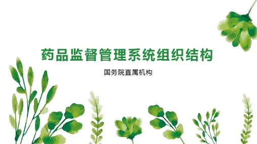 药品监督管理系统组织结构