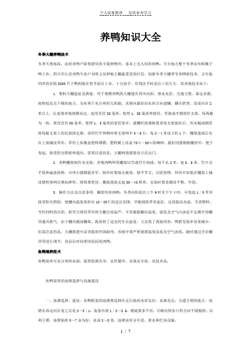 养鸭知识大全