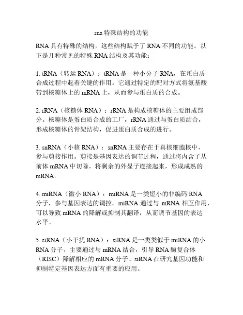 rna特殊结构的功能
