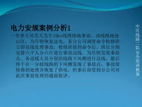 电力安全事故典型案例分析实例