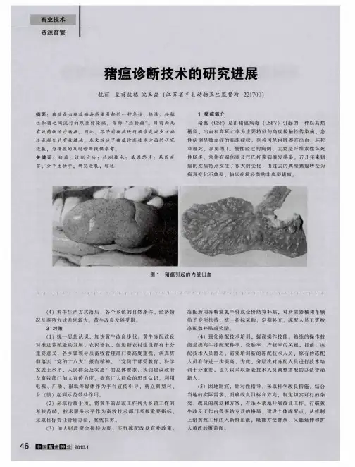 猪瘟诊断技术的研究进展