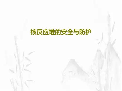 核反应堆的安全与防护共41页文档