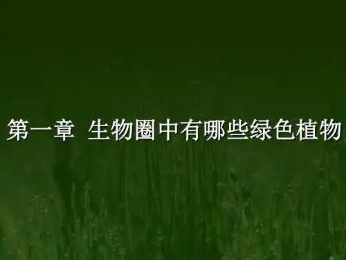 第一节藻类植物