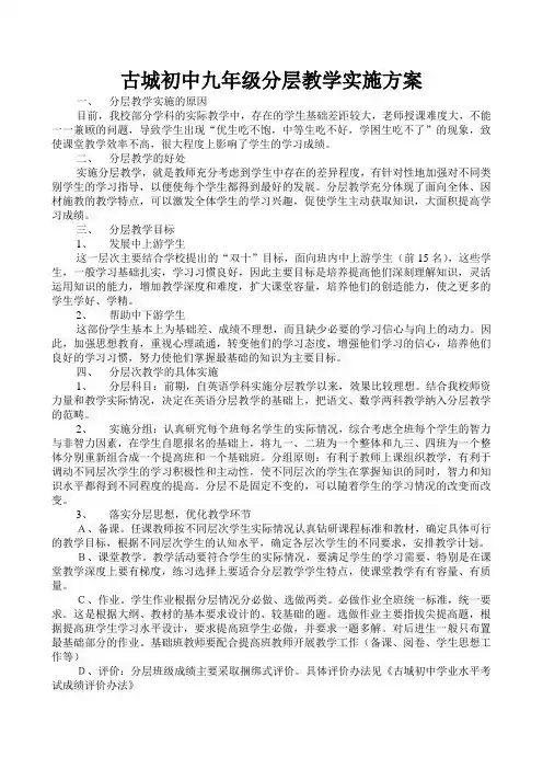 九年级分层教学实施方案